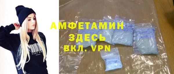 индика Абаза