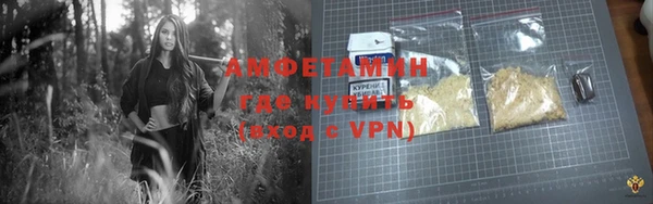 индика Абаза