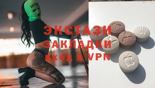 индика Абаза