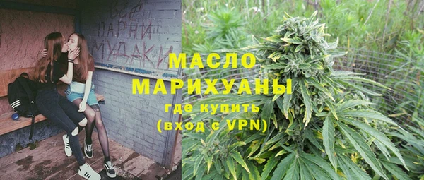 индика Абаза