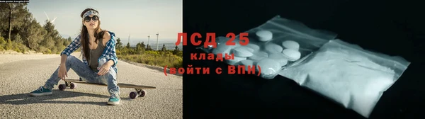 индика Абаза