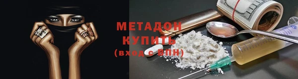 индика Абаза