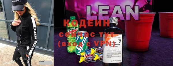 индика Абаза