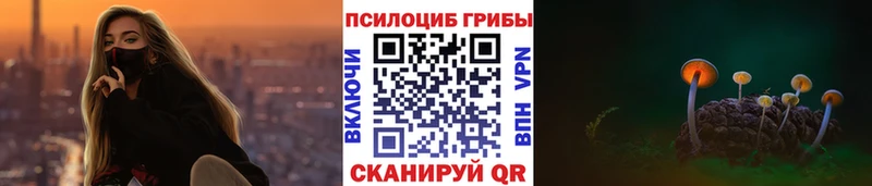 дарк нет формула  Шебекино  Псилоцибиновые грибы мицелий 