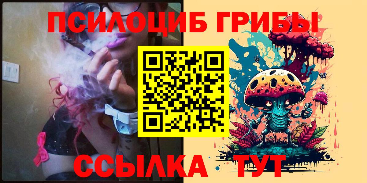 Галлюциногенные грибы Psilocybine cubensis  Вход с VPN  Шебекино 